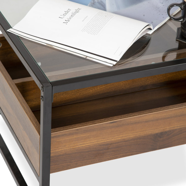 Ahart Frame Coffee Table with Storage